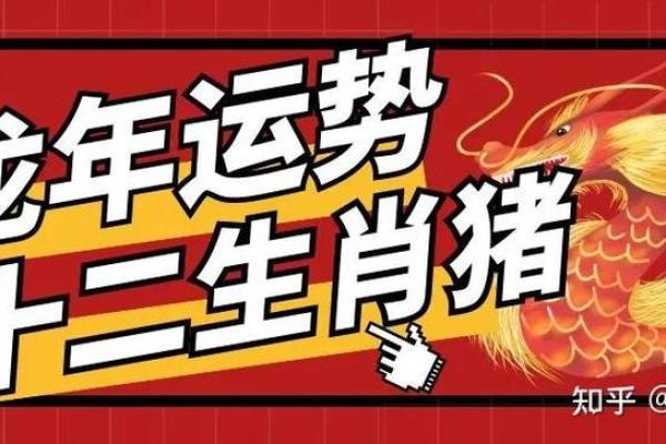 属猪的朋友运势预测:事业、财运与人际关系的变化 属猪的朋友运势预测:事业、财运与人际关系的变化