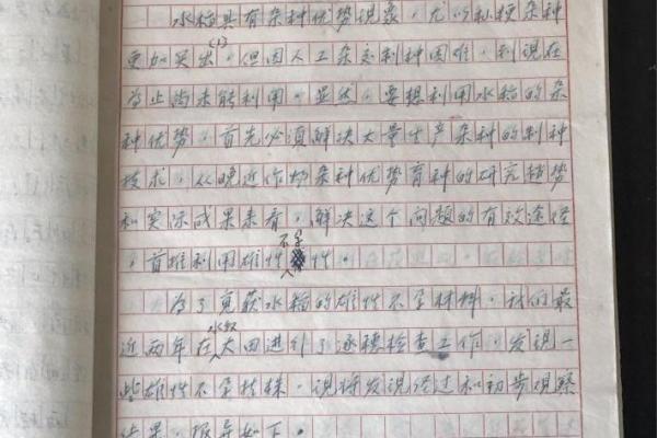 回望1893:揭秘百年前的历史印记 回望1893:揭秘百年前的历史印记