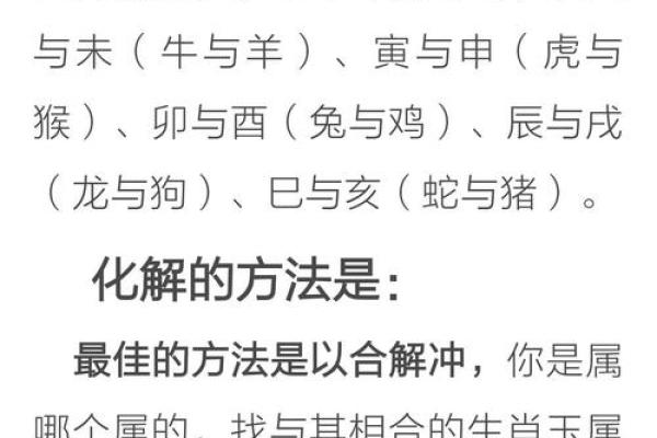 提升职场运势的十二生肖办公室风水布局指南 提升职场运势的十二生肖办公室风水布局指南