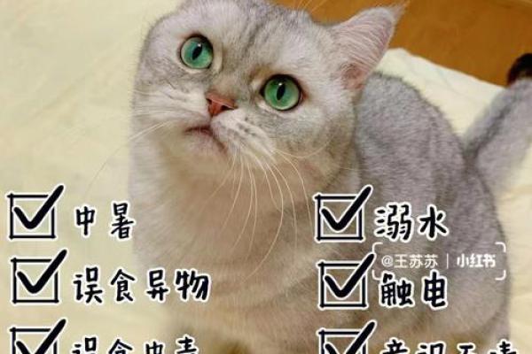 本命年鼠男的财务规划与应急措施 本命年鼠男的财务规划与应急措施