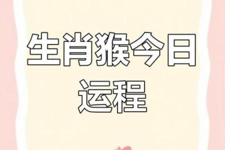 属猴运势全解析：运程起伏与应对策略