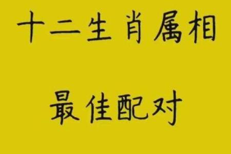 探究牛蛇婚姻中的相互吸引与挑战