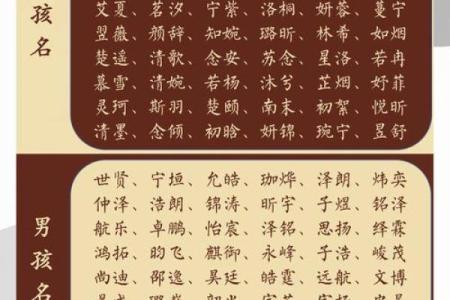 普姓宝宝起名：如何为普姓宝宝挑选一个独特的名字