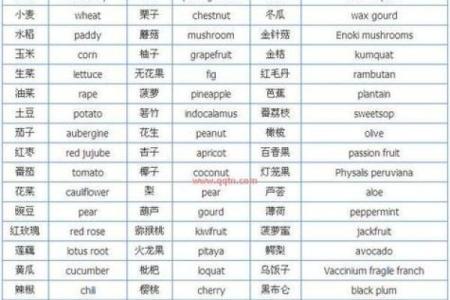 独特英文QQ名字大全，助你打造专属风格