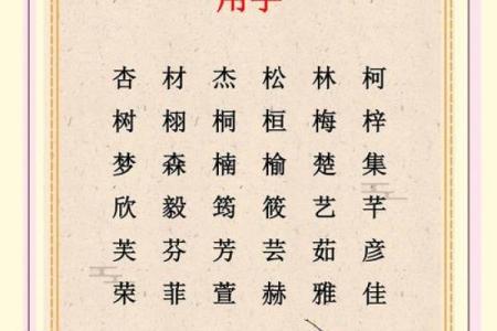 带木字的男孩名字：展现活力与温暖的完美选择