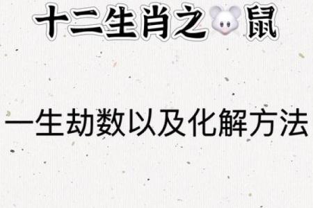 本命年鼠女的事业运势详解
