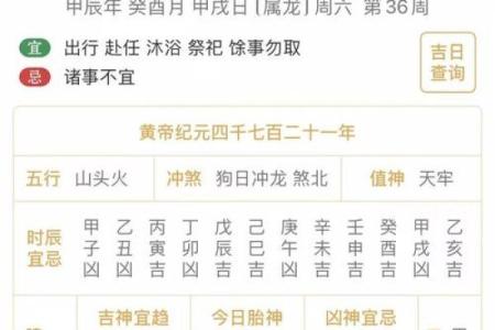 十二生肖运势全面解析