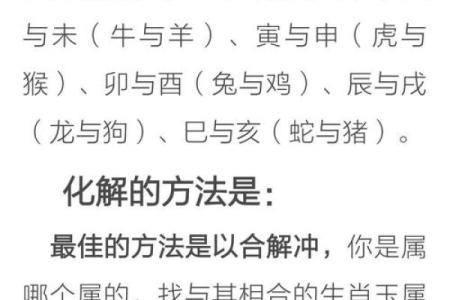 提升职场运势的十二生肖办公室风水布局指南