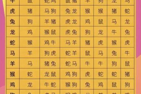 属兔与属猪是否相配？揭开生肖匹配的奥秘