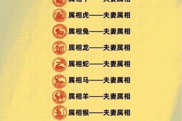 猪与龙能否完美匹配 探索两者性格与命运的契合
