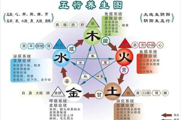 雪颖五行揭秘:如何通过五行提升运势和健康 雪颖五行揭秘:如何通过五行提升运势和健康