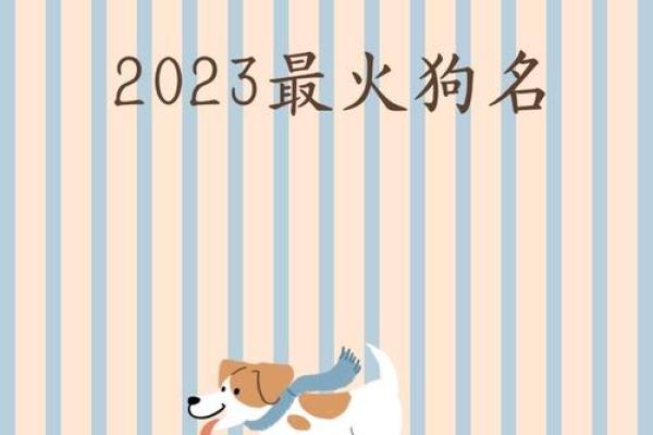 小狗名字不再普通，带你探索洋气霸气的命名技巧
