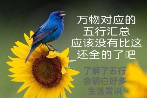 绿色五行对应哪一元素解析 绿色五行对应哪一元素解析