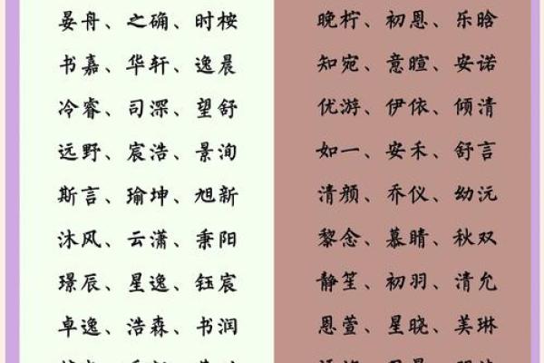 选择网游宝宝名字时必须避免的五个常见误区 选择网游宝宝名字时必须避免的五个常见误区