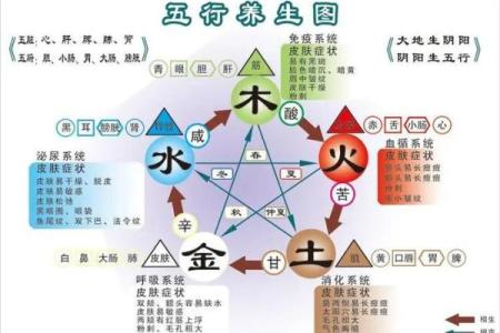 雪颖五行揭秘：如何通过五行提升运势和健康