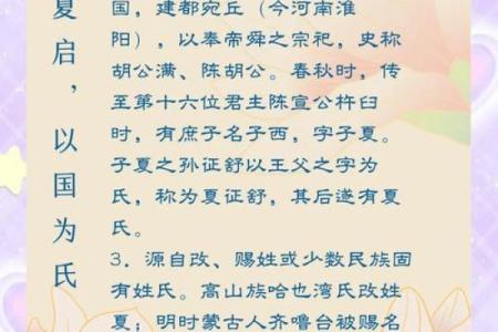 夏字在宝宝名字中的文化含义与选择要点