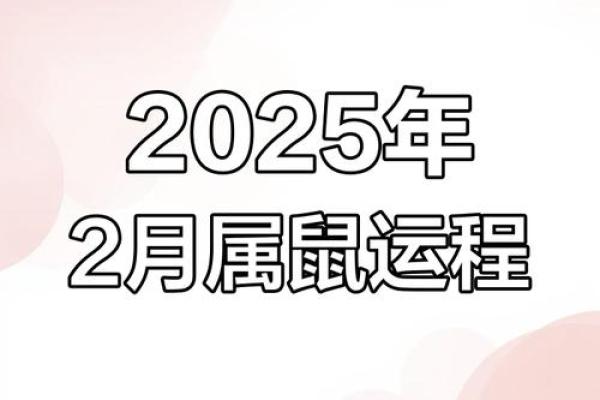 属鼠每月运势解析与运程预测 属鼠每月运势解析与运程预测