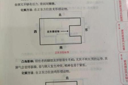 如何根据风水原则布局家居环境