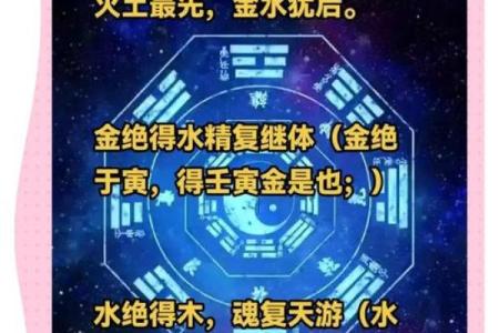 鸿五行属性的奥秘：探索五行如何影响你的生活