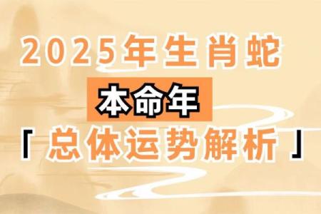 本命年属蛇人的学业与发展建议