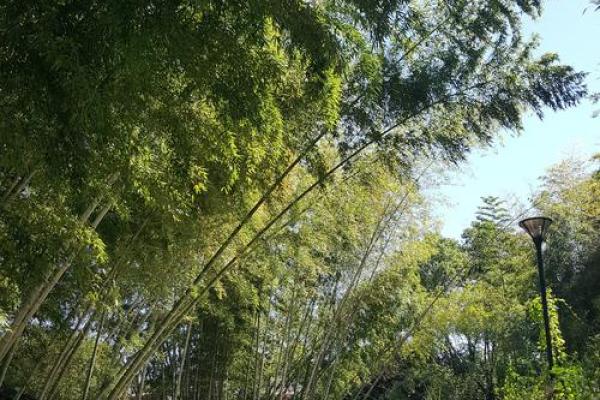 如何合理规划福鼎办公风水预算 如何合理规划福鼎办公风水预算
