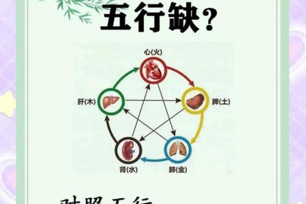五行理论与肥胖的关系:如何从五行角度解决肥胖问题? 五行理论与肥胖的关系:如何从五行角度解决肥胖问题?