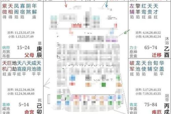紫薇命盘解析:如何从命理中识别属于你的好运星座 紫薇命盘解析:如何从命理中识别属于你的好运星座