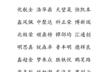 如何为货运公司起个既专业又易记的名字