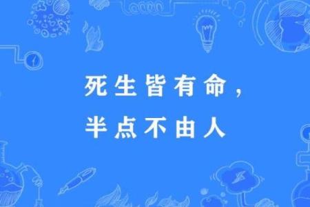 未命人是什么意思及其深层含义解析