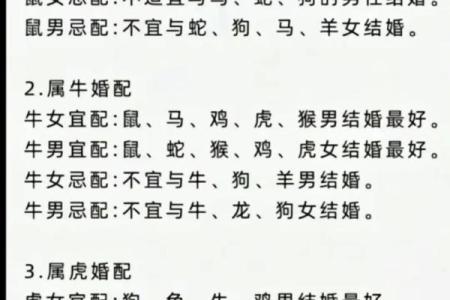 狗鼠属相配对的优缺点解析