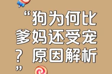 猴与狗的婚姻配对：长久相伴的可能性解析
