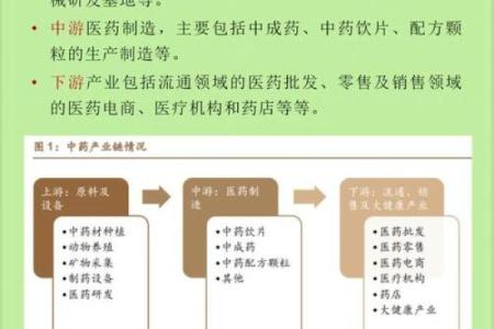 药材农产品公司命名创意与灵感探索