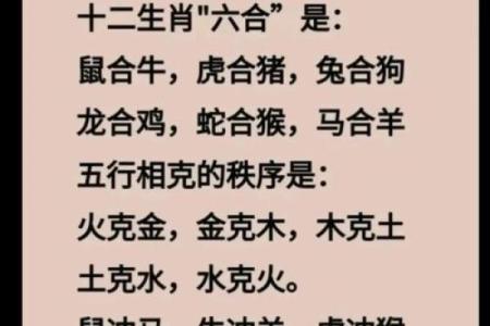 真冲命代表的生肖解析与命理关系