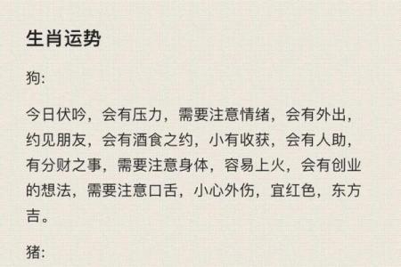 免费生辰八字测名，精准分析你的命运与运势！