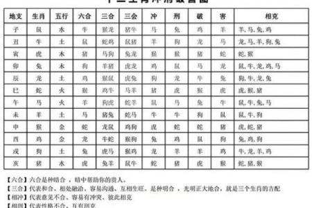 属龙和属狗的爱情能否长久？深入分析生肖相配