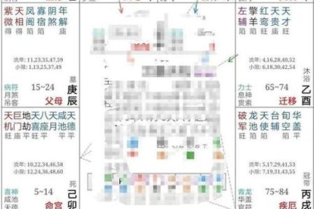 紫薇命盘解析：如何从命理中识别属于你的好运星座