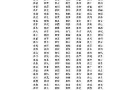 郑姓男宝宝命名指南：如何选一个与众不同的名字