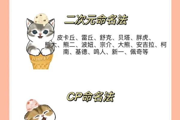 女孩猫咪名字大全