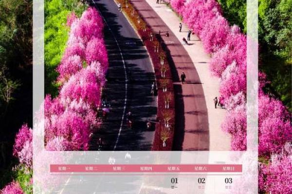 万年历2003:揭秘岁月流转的神奇力量 万年历2003:揭秘岁月流转的神奇力量