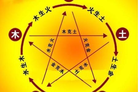 深入了解男命八字中的五行与命运关系