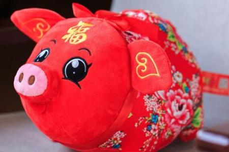猪年猪宝宝名字大全，寓意富贵吉祥的命名推荐