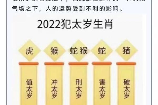 2024年属相鼠万年历,财运亨通秘籍大公开 2024年属相鼠万年历,财运亨通秘籍大公开