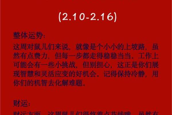 出生的鼠人运势解析