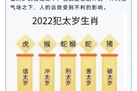 2024年属相鼠万年历，财运亨通秘籍大公开