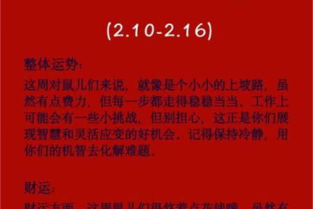 出生的鼠人运势解析