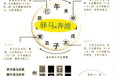 什么是双甲命及其在命理学中的意义