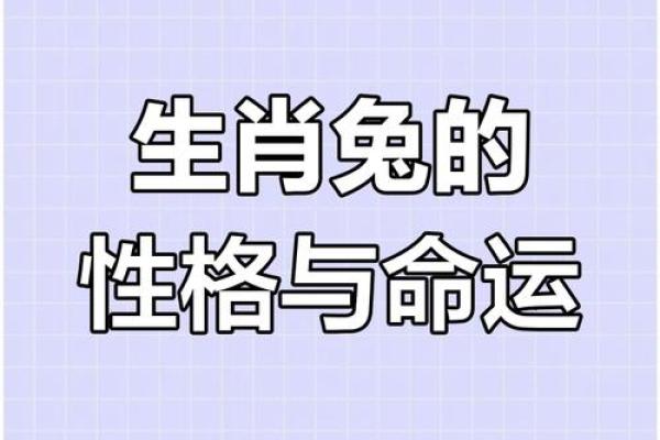 属兔狗年每月运程解析,逐月揭示运势变化 属兔狗年每月运程解析,逐月揭示运势变化