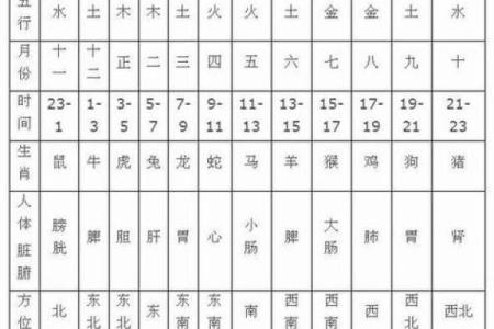 八字命理分析：是看天干重要还是地支更关键？