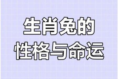 属兔狗年每月运程解析，逐月揭示运势变化