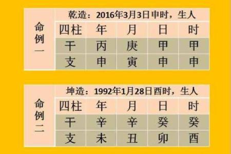 八字命理查询：破解你生命中的关键因素